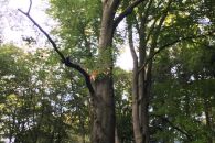 IMG_2254_Bildgröße ändern.JPG
